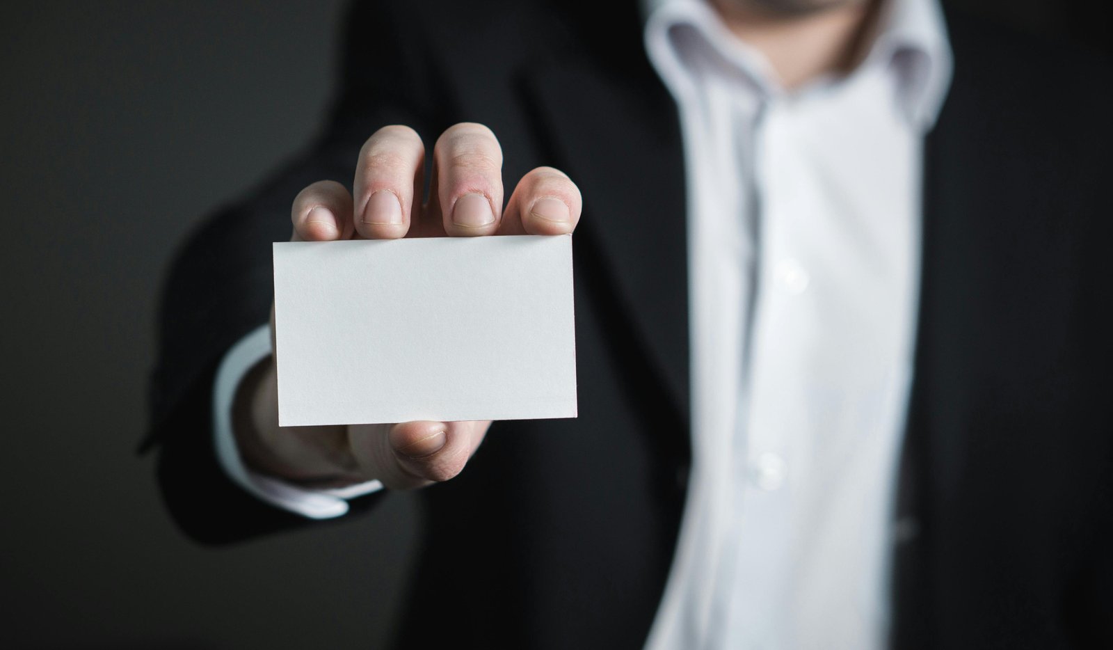 New Zealand is renowned for its unique animals and creatures that call the beautiful island nation their home. From the iconic kiwi bird to the playful Hector's dolphin, the diverse wildlife of New Zealand offers a fascinating glimpse into the natural world. In this blog post, we will explore how the conservation and study of these animals can contribute to work skills development in New Zealand.